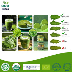 Premium Grade Matcha,Jiueco -- Global B2B Matcha Manufacturer from China,Trusted by leading food & beverage brands worldwide,Premium Grade Matcha