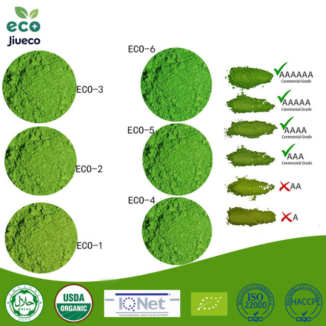 Top Matcha,Jiueco -- Global B2B Matcha Manufacturer from China,Trusted by leading food & beverage brands worldwide,Top Matcha