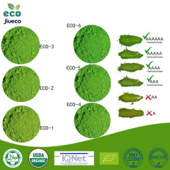 Top Matcha,Jiueco -- Global B2B Matcha Manufacturer from China,Trusted by leading food & beverage brands worldwide,Top Matcha