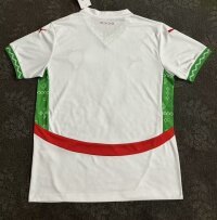 2025-26 Morocco away - fans