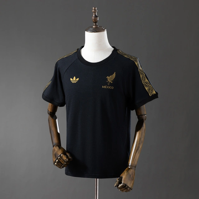 2025-26 Mexico Fan Edition Jersey