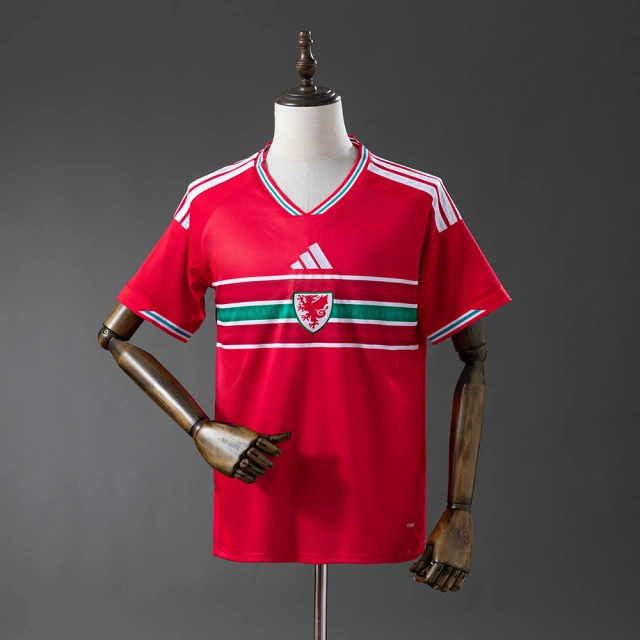 2026-2027 Wales World Cup Home Fan Edition Jersey