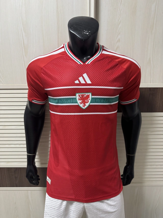 2026-2027 Wales World Cup Home Match - Player Version