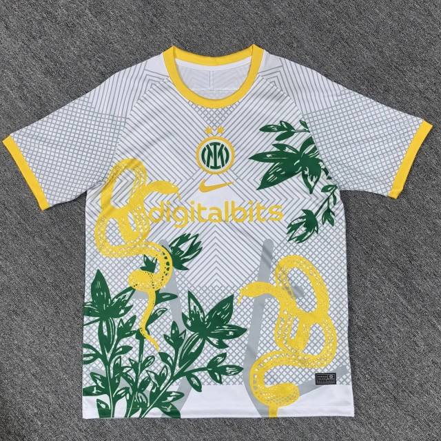 2025-26 Inter Milan Special Edition Fan Jersey