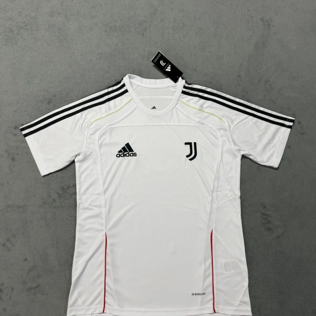 25-26 Juventus Casual Jersey - Fan Version