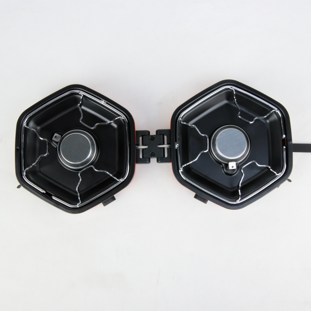 Camping Gas Stove