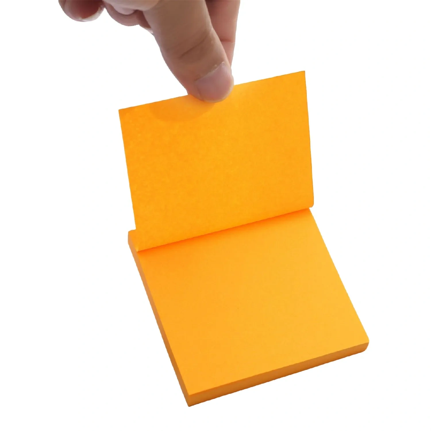 Assorted Color Paper Folders - Bulk Order