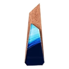 Custom Wood and Crystal Trophy for Corporate Recognition