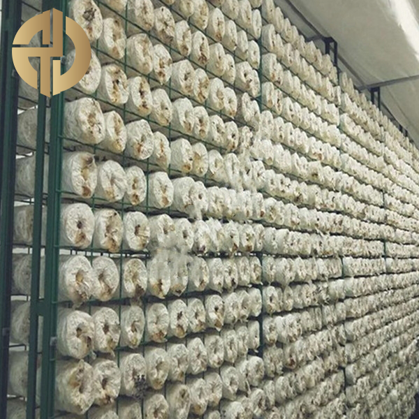 Mushroom-shaped Mesh Sheet