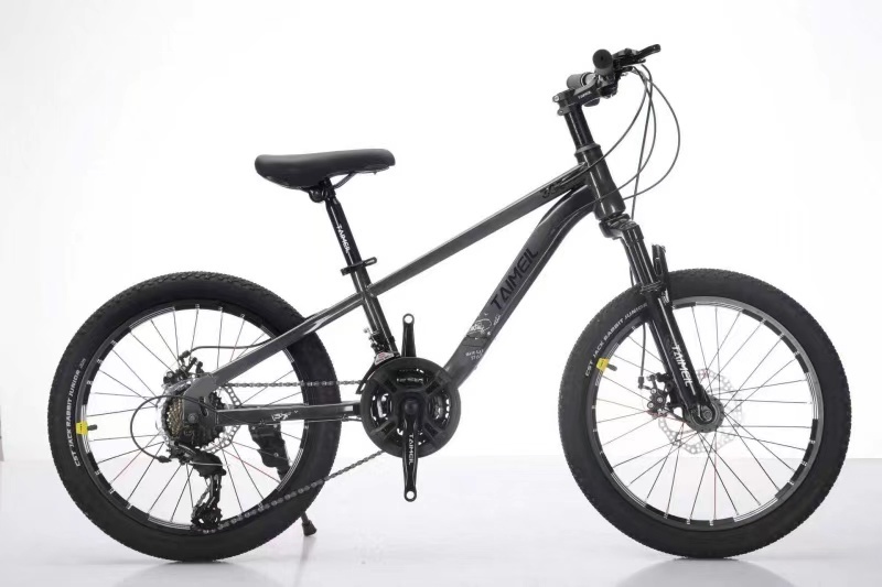 Kids Mountain Bicycle  Practical Kids Mountain Bike - Disc Brake & Variable Speed Youth Cycling Bicycle Bulk Kids Bicycle Procurement
