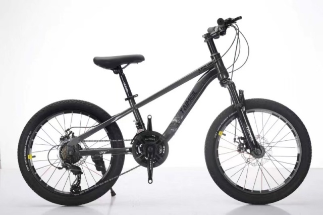 Kids Mountain Bicycle  Practical Kids Mountain Bike - Disc Brake & Variable Speed Youth Cycling Bicycle Bulk Kids Bicycle Procurement