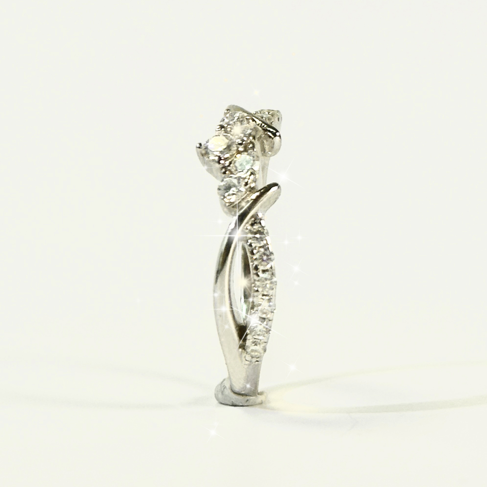 Your Jewelry - Moissonites band S925 ring