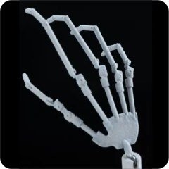 Bionic skeletonJointed