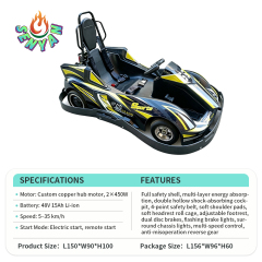 Teenage version karting car lithium battery