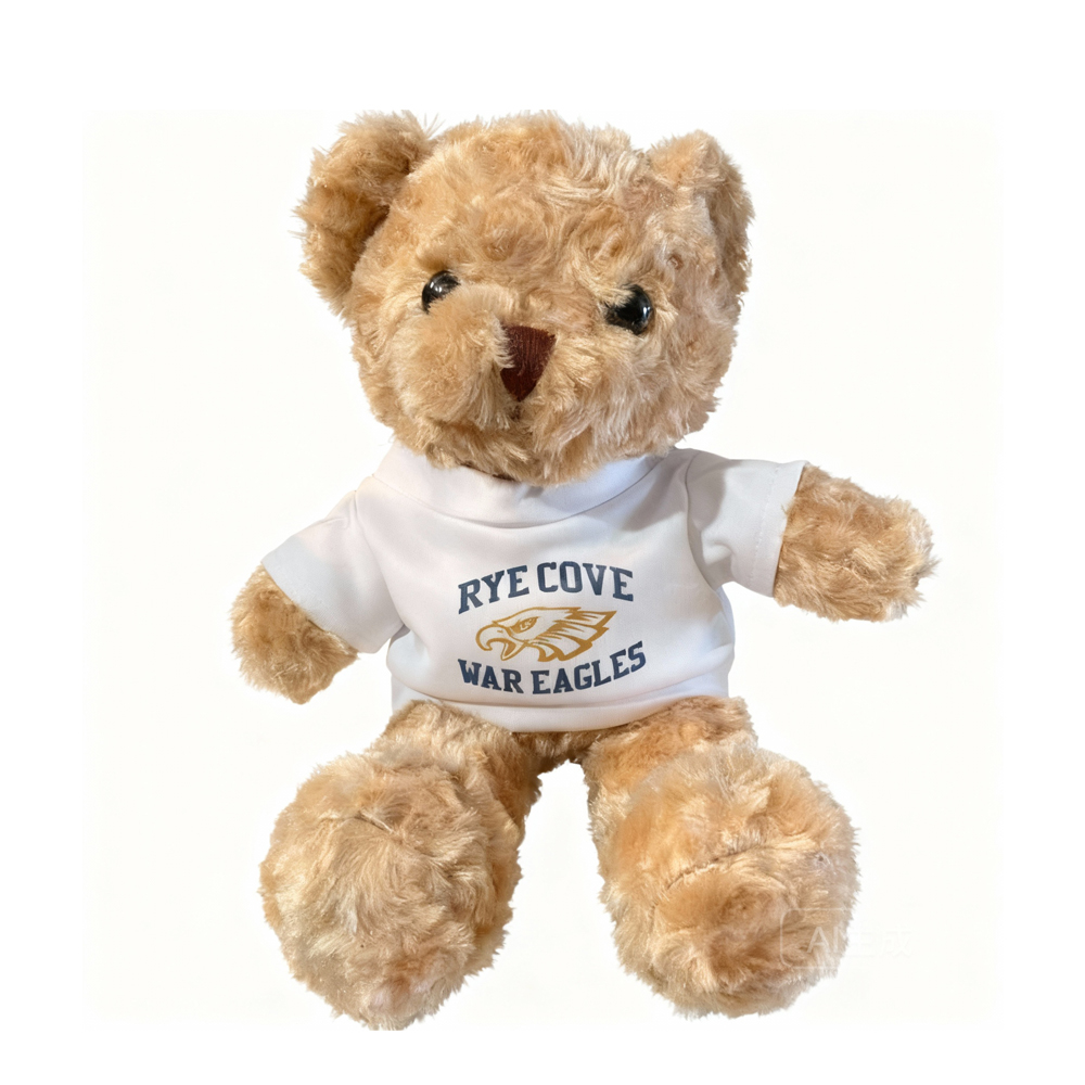Plush Bear with Sublimation Blank Tshirts for DIY 12.5inch /32cm Big size Plush Toy