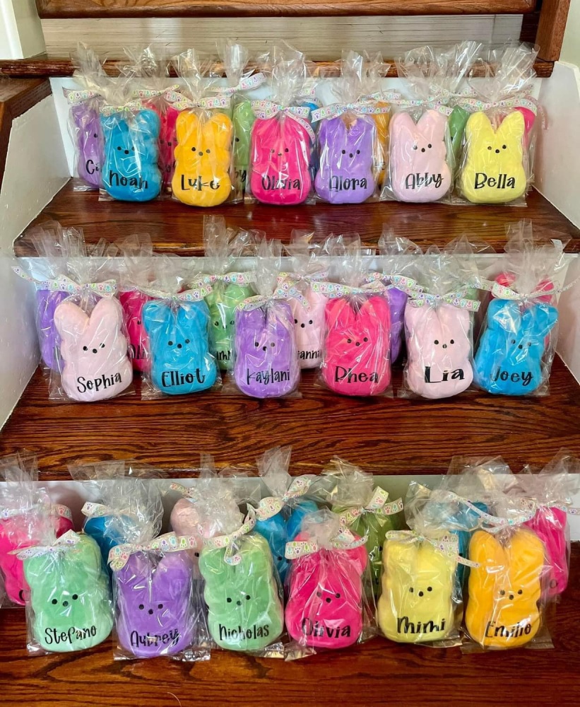 25cm 10inch big size blanks Easter Peeps mixed color Plush toy can be customized with name for Kids Girls Boys