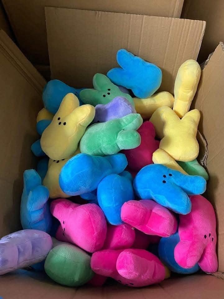 25cm 10inch big size blanks Easter Peeps mixed color Plush toy can be customized with name for Kids Girls Boys