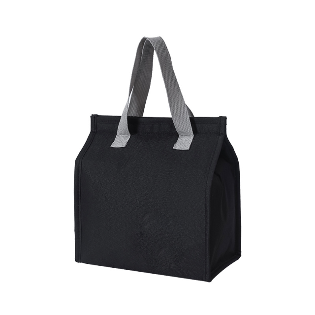 Insulated Lunch Bag
