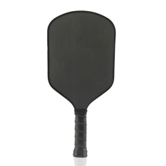 Carbon Fiber Pickleball Set