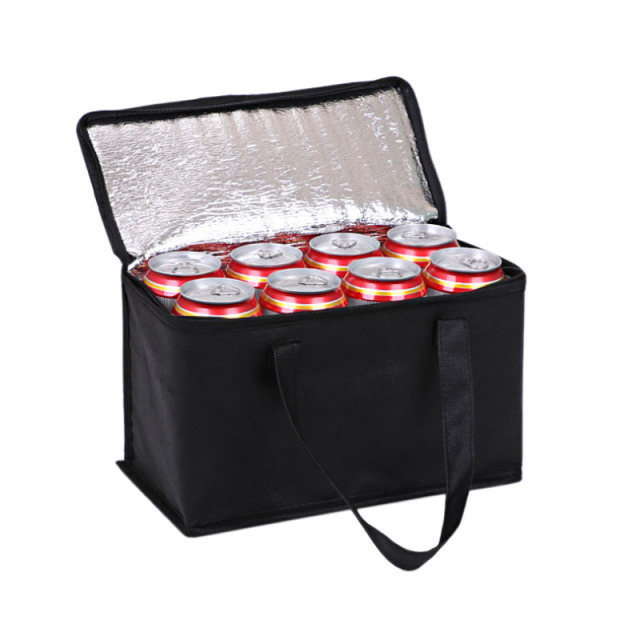 Non-Woven Cooler Bag