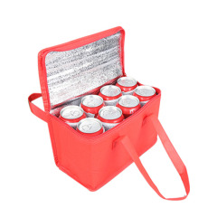 Non-Woven Cooler Bag