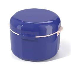 Denture Box