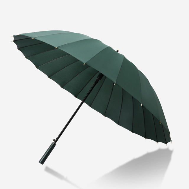 Umbrella