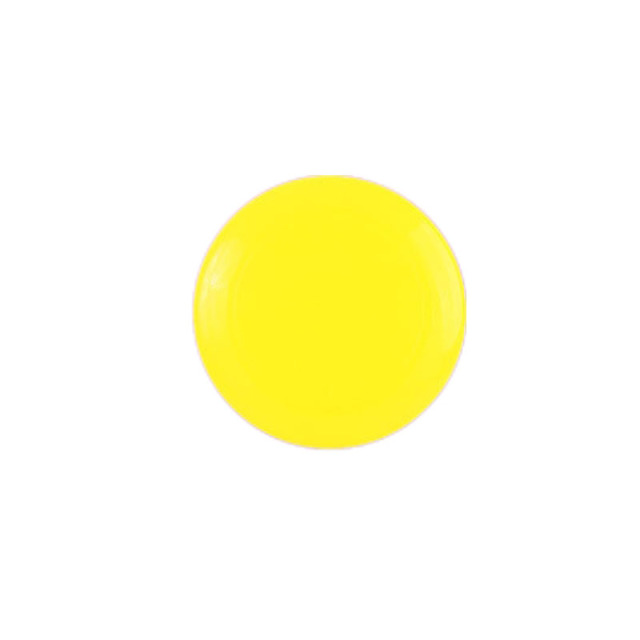 Plastic Flying Disc