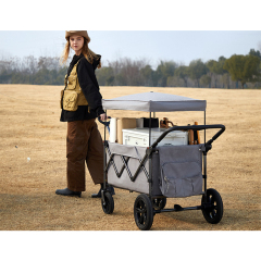 Large Capacity Folding Trolley with Canopy