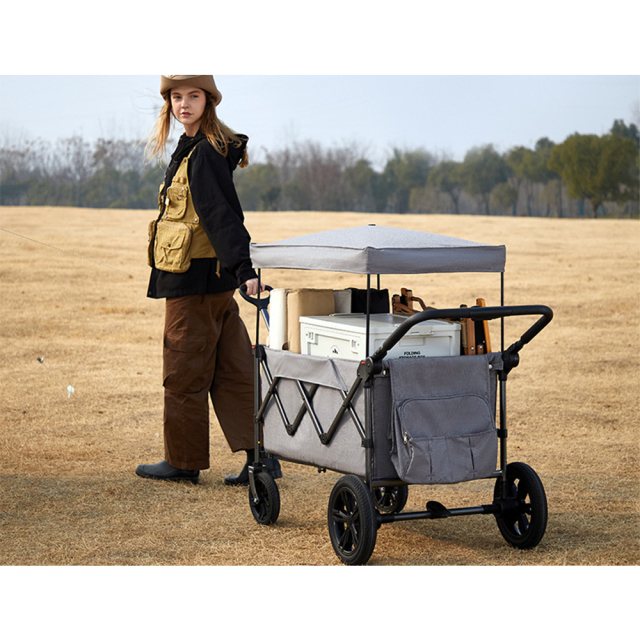Large Capacity Folding Trolley with Canopy