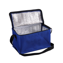 Oxford Foil Insulated Tote Bag
