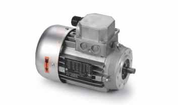 Lincoln motor  multipoint pump