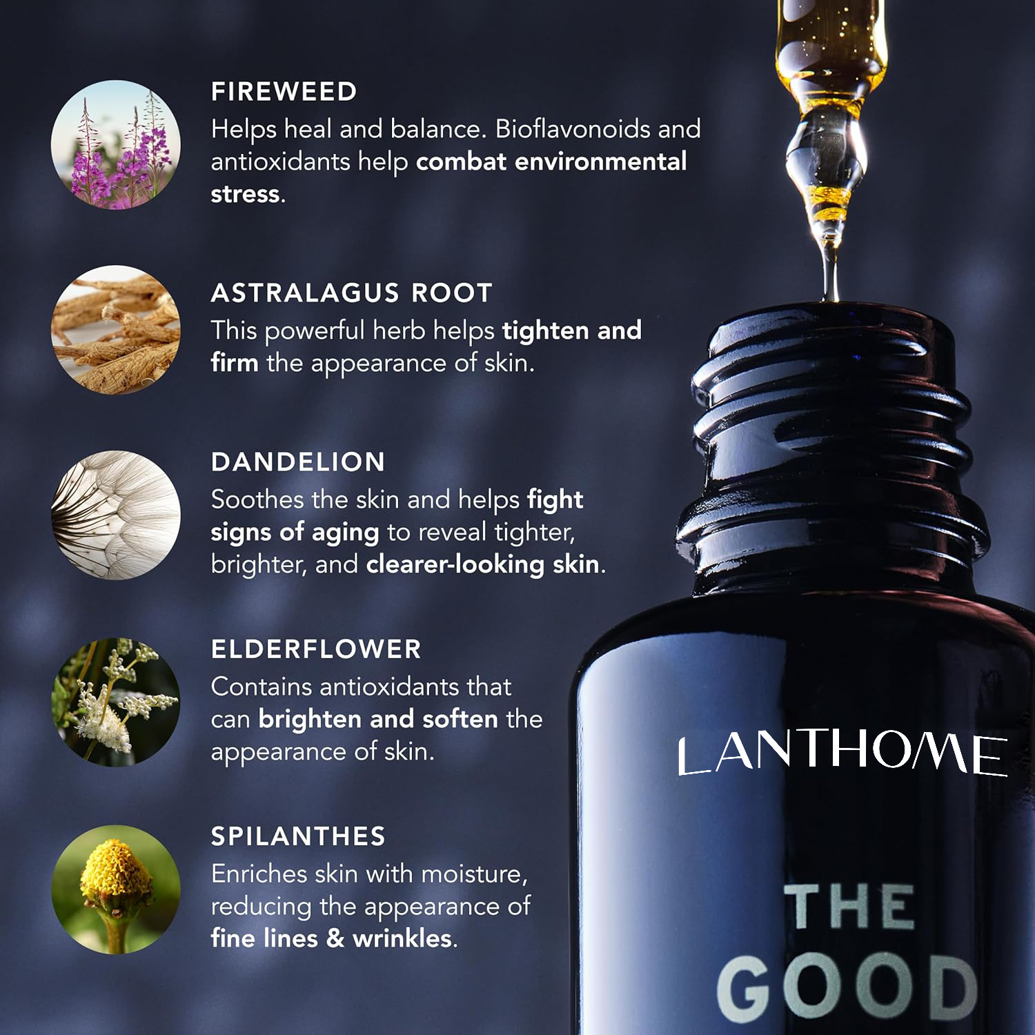 Private Label Organic Moisturizing Face Serum for Men Anti-Wrinkle Fireseed Niacinamide Vitamin C Vegan Ingredients for All Skin