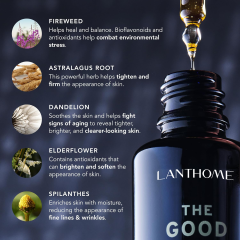 Private Label Organic Moisturizing Face Serum for Men Anti-Wrinkle Fireseed Niacinamide Vitamin C Vegan Ingredients for All Skin