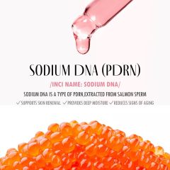 Private Label Multi Balm Stick PDRN Collagen Anti Wrinkle Stick Korean Skin Care All-in-One Hydrating Face Serum Balm