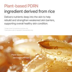 Korean Glass Skin Care PDRN Collagen Serum Firming Hydrating Revitalizing Face Lightweight Peptide Hydrating Moisturizer Serum
