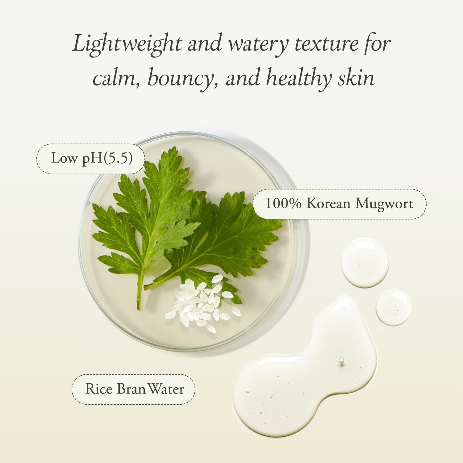 Customized Logo Squalane Artemisia Cream Mugwort Rice Essence Skin Care Set Herbal Natural Skin Care Set