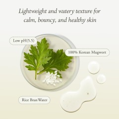 Customized Logo Squalane Artemisia Cream Mugwort Rice Essence Skin Care Set Herbal Natural Skin Care Set