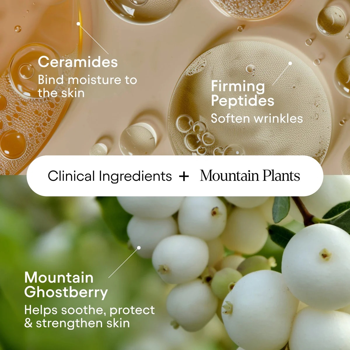 Custom Barrier Repair Cream 5 Ceramide Complex Super Peptides Ghost Berry Barrier Repair Hydrating OEM Eczema Face Mositurizer