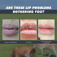 Beef Tallow Lip Therapy Moisturizing Liquid Lip Balms Dry Skin Premium High Quality Products