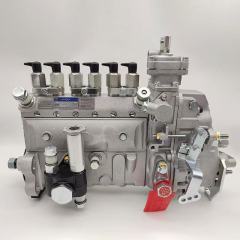 Diesel Pump 101609-3750 Injection Pump 6D102 Diesel Engine 6D102 Fuel Injection Pump 4063844 101609-3750 4063845 101609-3760