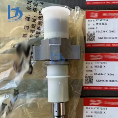 QSL Original Common Rail Fuel Injector 5572354 Diesel Fuel Injector Assembly 4384165 for Cummins