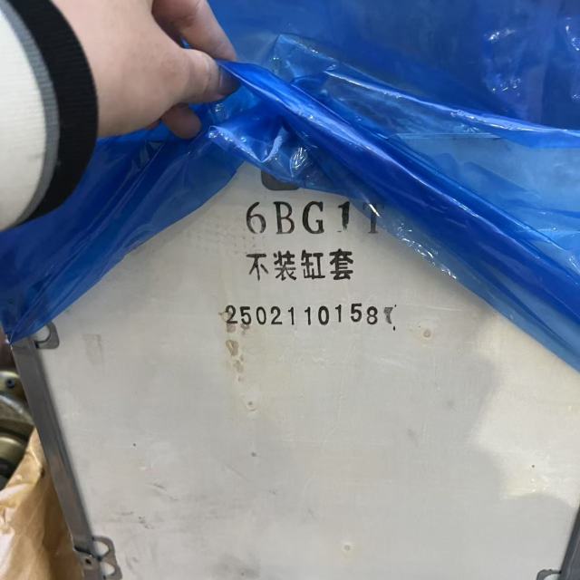 6BG1T Engine Cylinder Block 2502110158 6BG1 6BG1T Cylinder Head for Isuzu Diesel Engine Cylinder Block 6BG1T