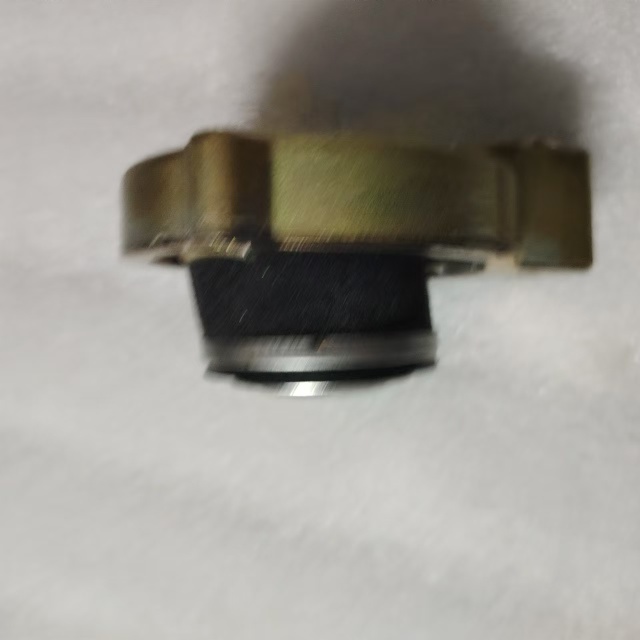 Excavator Parts PC220-8 PC240-8 PC350-8 PC300-8 PC130-8 PC400-8 PC450-8 PC200-8 Hydraulic Oil Tank Cover PC350-8 17A-60-11310