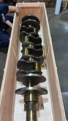 Used Engine Crankshaft K19 K38 K50 NT855 NTA855 VTA28 N14 LT10 M11 QSK19 QSK38 QSK45 QSK60 Crankshaft 3042800 for Cummins VTA28