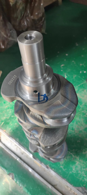 Forged Steel Cast Iron 4d95 Crankshaft 4d95s S4d95 4d95l Excavator Crankshaft for 4d95 4d95s Diesel Engine Spare Parts 6202-31-1