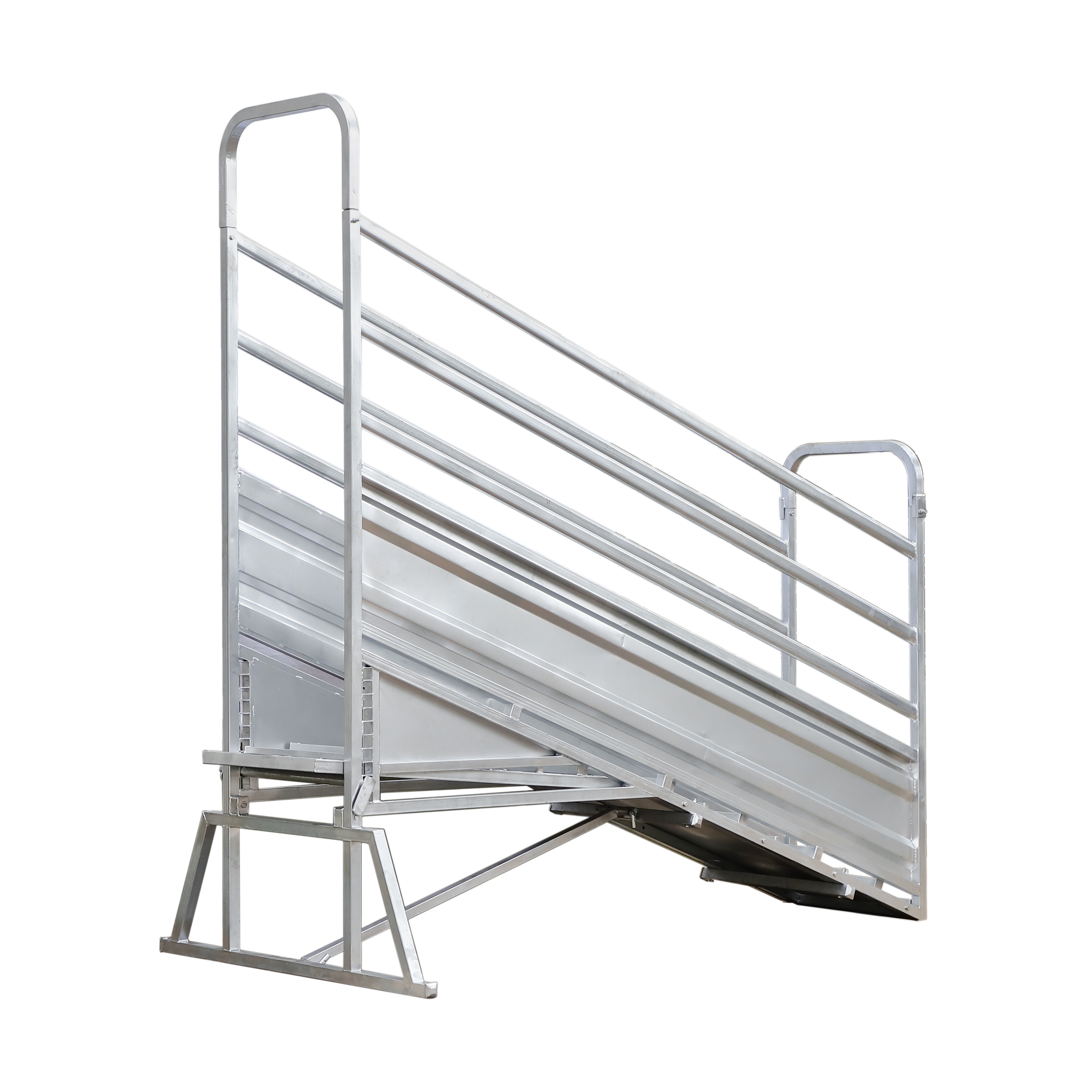 Cattle Ramp
