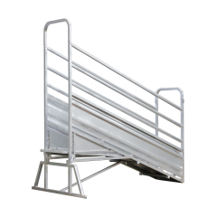 Cattle Ramp