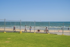 Temp Fence Panel