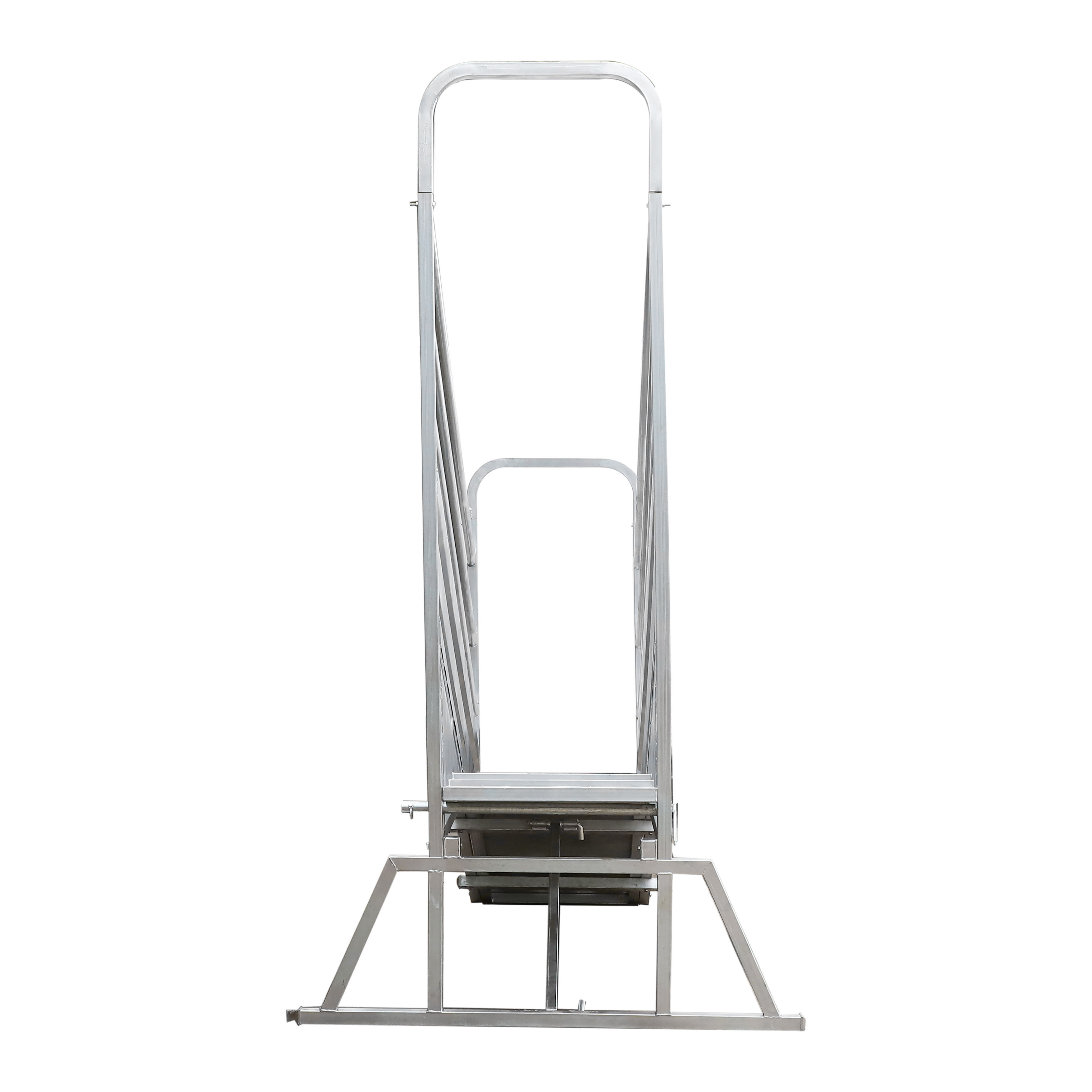 Cattle Ramp with walk way